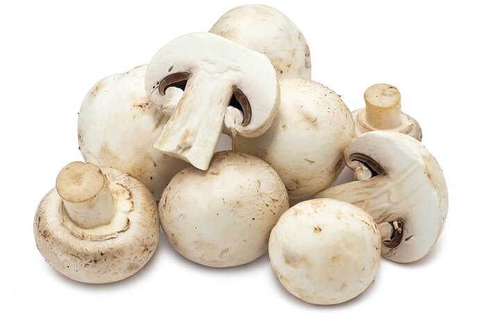 mushroom-07